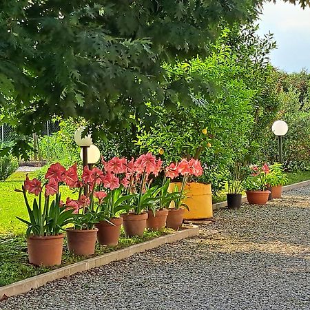 Borgo Barucchella Ξενοδοχείο Sant'Andra Εξωτερικό φωτογραφία