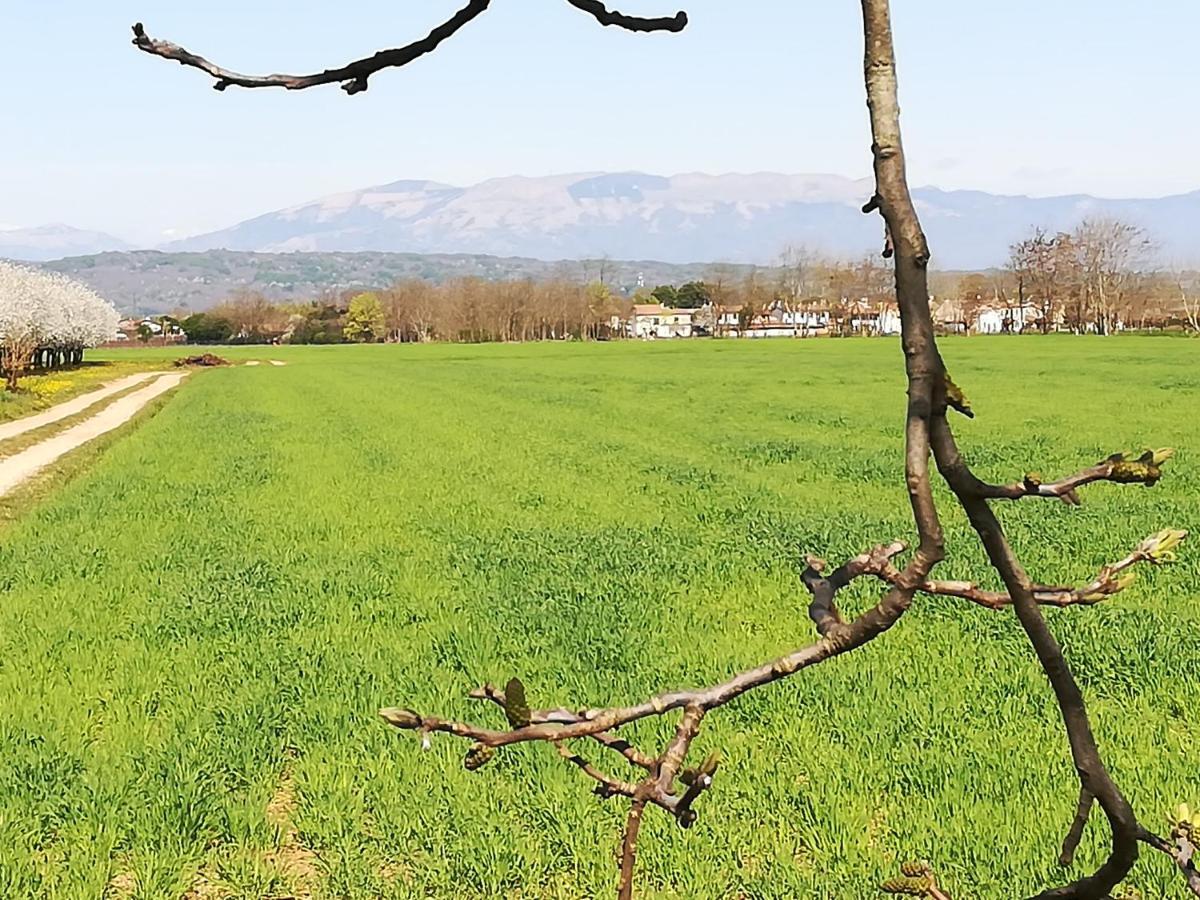 Borgo Barucchella Ξενοδοχείο Sant'Andra Εξωτερικό φωτογραφία