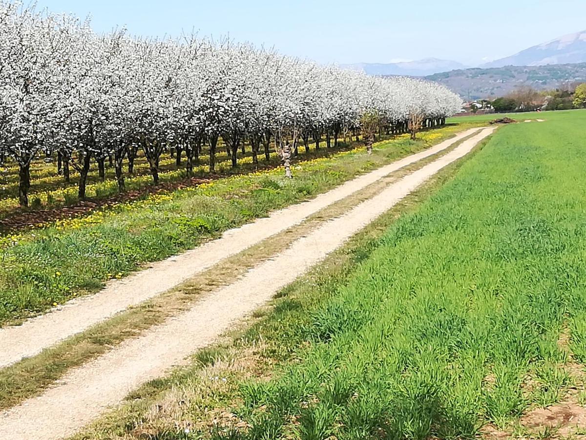 Borgo Barucchella Ξενοδοχείο Sant'Andra Εξωτερικό φωτογραφία