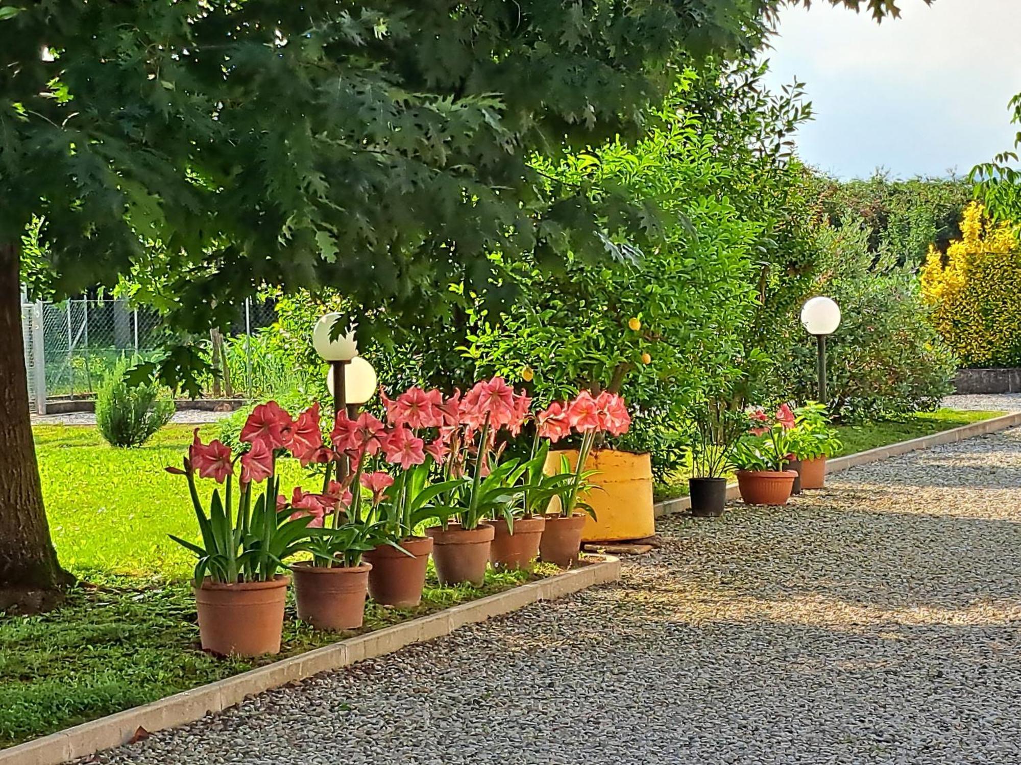 Borgo Barucchella Ξενοδοχείο Sant'Andra Εξωτερικό φωτογραφία