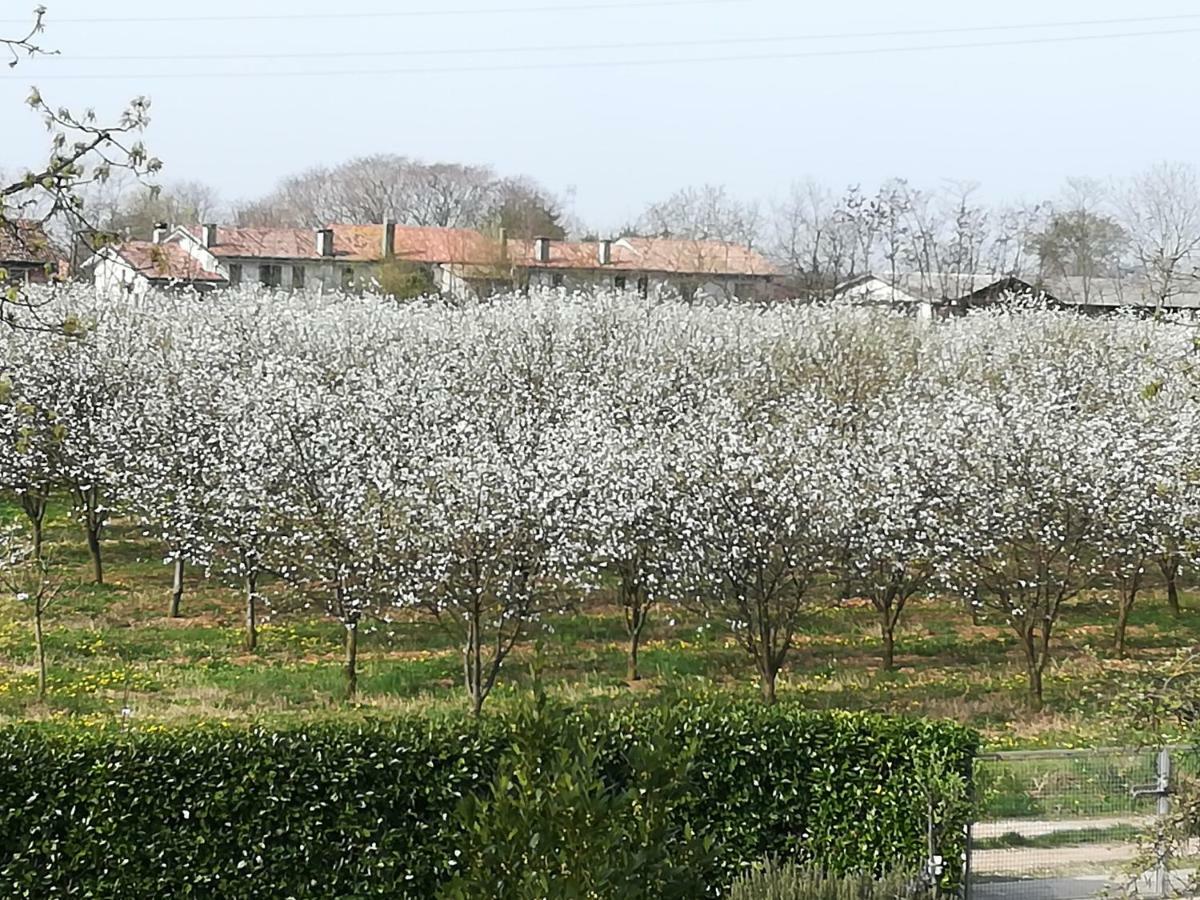 Borgo Barucchella Ξενοδοχείο Sant'Andra Εξωτερικό φωτογραφία